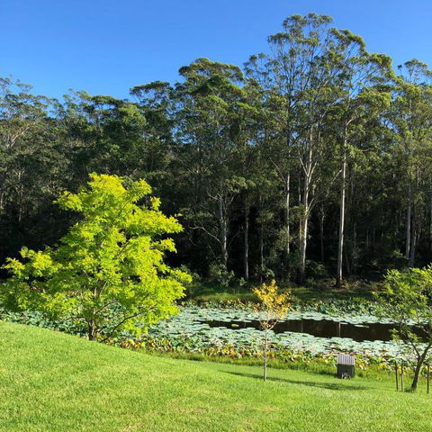 Garden Hill Retreat South Coast Australia - Tourism Caloundra 3