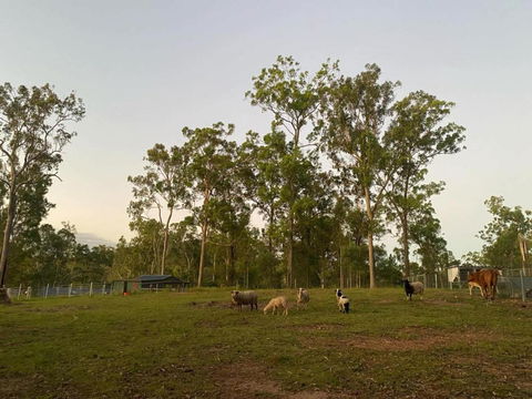 Gemmas Animal Farm By Tiny Away - Tourism Caloundra 1