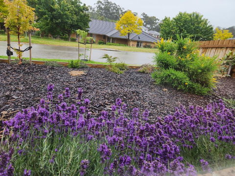 Getaway On Amaroo Way - Tourism Caloundra 1