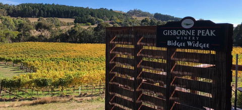 Gisborne Peak Winery Short Term Stays - Tourism Caloundra 0