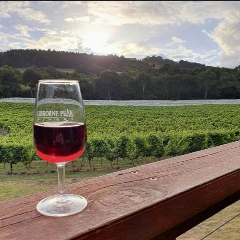 Gisborne Peak Winery Short Term Stays - Tourism Caloundra 3