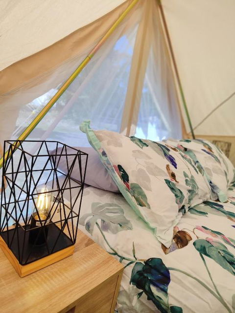 Glamping At Zeehan Bush Camp - Tourism Caloundra 3