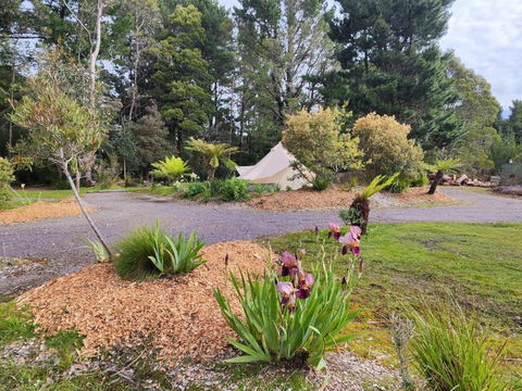 Glamping At Zeehan Bush Camp - Tourism Caloundra 1