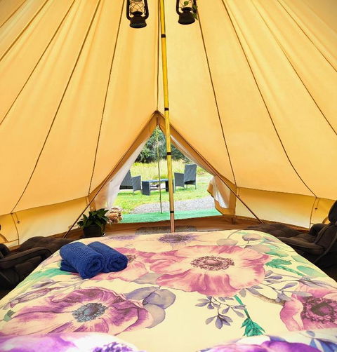 Glamping At Zeehan Bush Camp - Tourism Caloundra 0