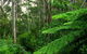 Glenaire Cottages - thumb 3