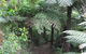 Glenaire Cottages - thumb 2