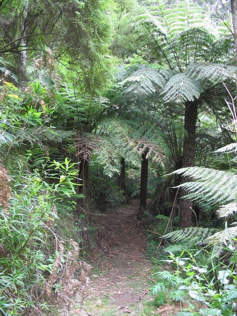 Glenaire Cottages - Tourism Caloundra 2