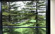 Glenelg BEACH & Park Views -wifi Parking - thumb 4