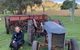 Glenview Alpaca Farm - thumb 2