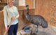 Glenview Alpaca Farm - thumb 1