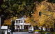 Gloria Of Healesville - thumb 3