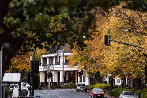 Gloria Of Healesville - Tourism Caloundra 3