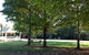 Goldberryaccommodation - thumb 2