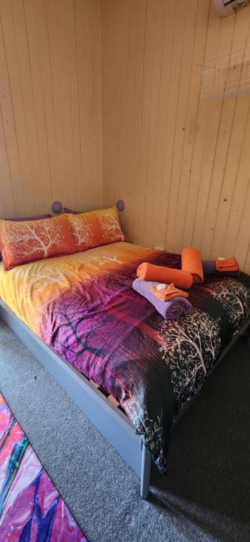 Golden Mount Dorm - Tourism Caloundra 1