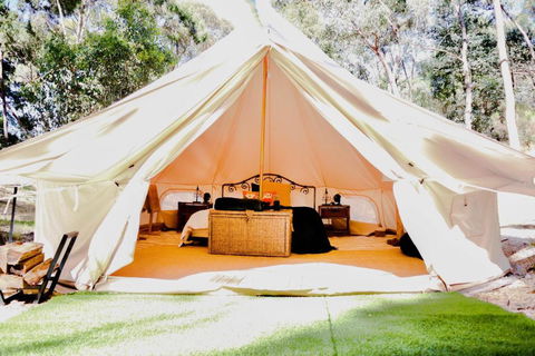 Golden Point Glamping - Tourism Caloundra 0
