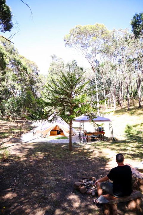 Golden Point Glamping - Tourism Caloundra 4