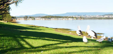 Golf Place Inn Wollongong - Tourism Caloundra 3