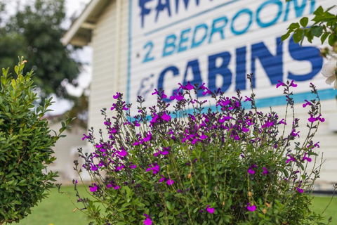 Golfers Inn - Tourism Caloundra 0