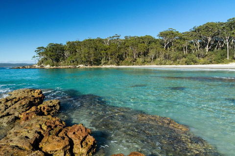 Gorgeous Beachside Cottage Jervis Bay - Tourism Caloundra 0