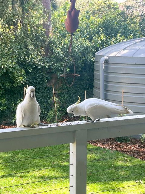 Getaway On Little - Tourism Caloundra 3
