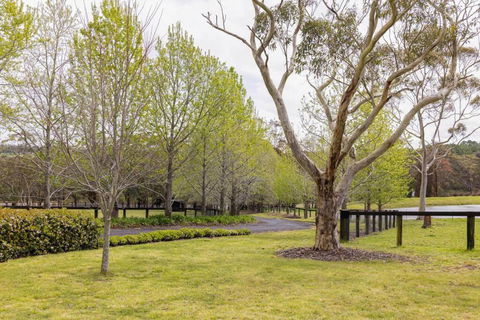 Graelynn Farm - Tourism Caloundra 0