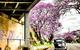 Grafton Hotel - thumb 1