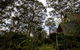 Green Leaves Cabin - thumb 1