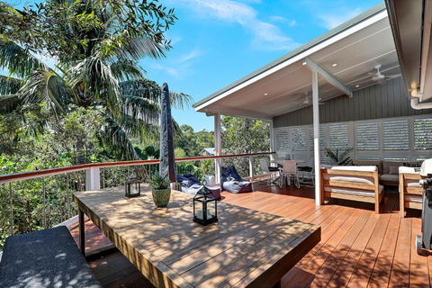 Grevillea - Tourism Caloundra 2