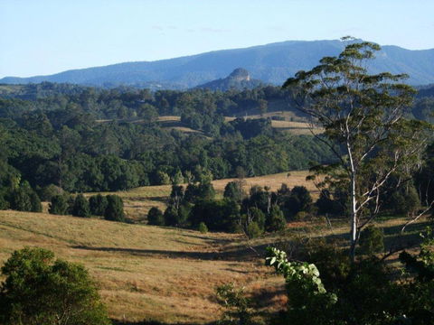 Grey Gum Lodge - Tourism Caloundra 0