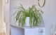 Grove Hideaway - Peaceful 2 Bed Townhouse - thumb 3