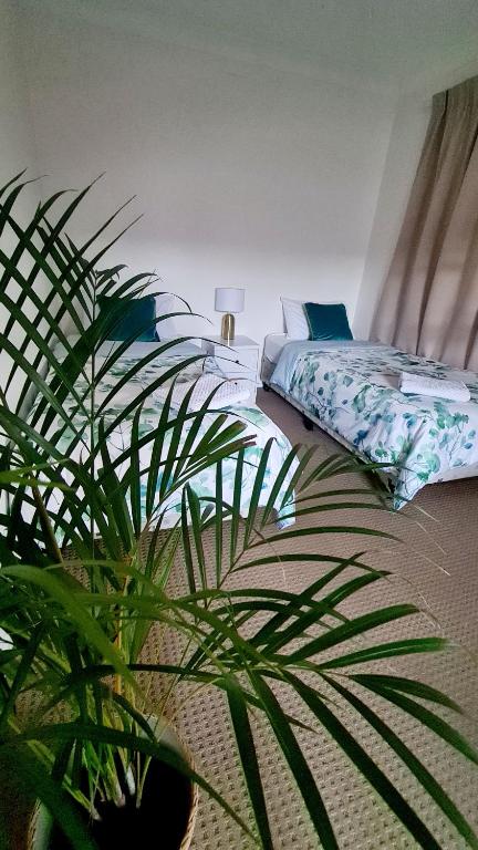 Guesthouse In Fantastic Location - Tourism Caloundra 0