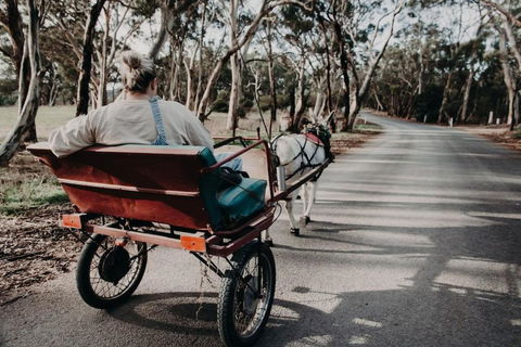 Gums N Roses By Tiny Away - Tourism Caloundra 1