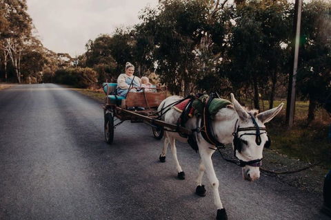 Gums N Roses By Tiny Away - Tourism Caloundra 2