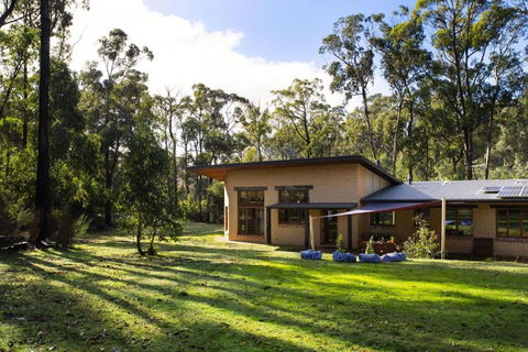 Gumtree Spring - Tourism Caloundra 0