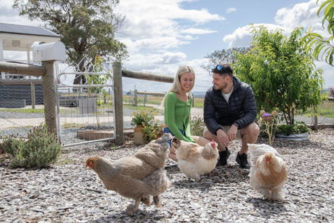 Gumnut Cottage Gippsland - Tiny Romantic Escape W King Bed Mountain Views - Tourism Caloundra 3