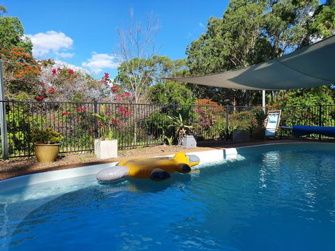 Gowrie Agapanthus - Tourism Caloundra 0