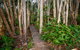 Agnes Palms Accommodation - thumb 0