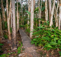 Agnes Palms Accommodation - Tourism Caloundra