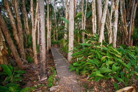 Agnes Palms Accommodation - Tourism Caloundra 0