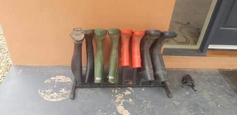 Altitude221 - Tourism Caloundra 2