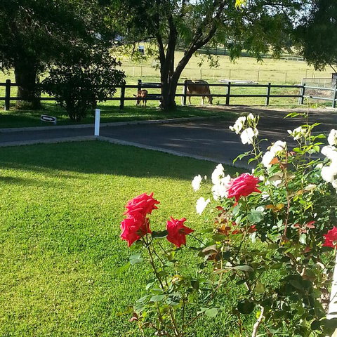 Appin Homestay B & B - Tourism Caloundra 3