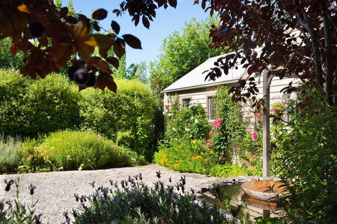 Argus Hill Cottage - Tourism Caloundra 1