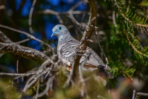 Ash's Holiday Units - Tourism Caloundra 2