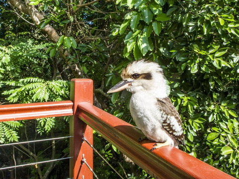 Magnetic Effect - Tourism Caloundra 3
