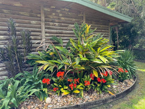 Mallacoota Log Cabins - Tourism Caloundra 2