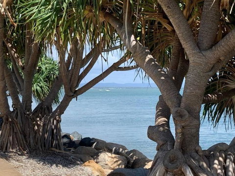 Marine 807 - Tourism Caloundra 2