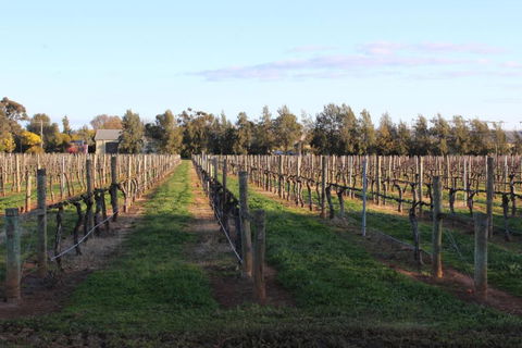 Milawa Vineyard Views - Guesthouse 1 - Tourism Caloundra 2