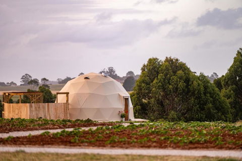 Mount Gnomon Farm - Tourism Caloundra 0