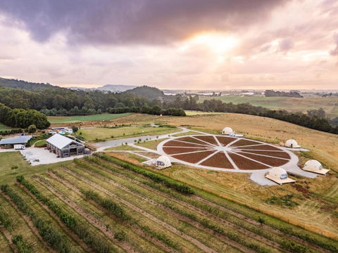 Mount Gnomon Farm - Tourism Caloundra 2