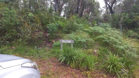 Mountain Tranquility - Tourism Caloundra 3